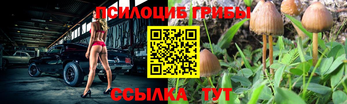 Псилоцибиновые грибы Magic Shrooms Пыть-Ях